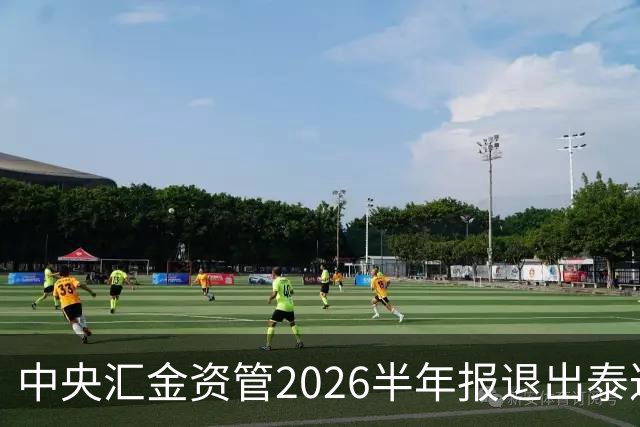 中央汇金资管2026半年报退出泰达股份前十大股东名单