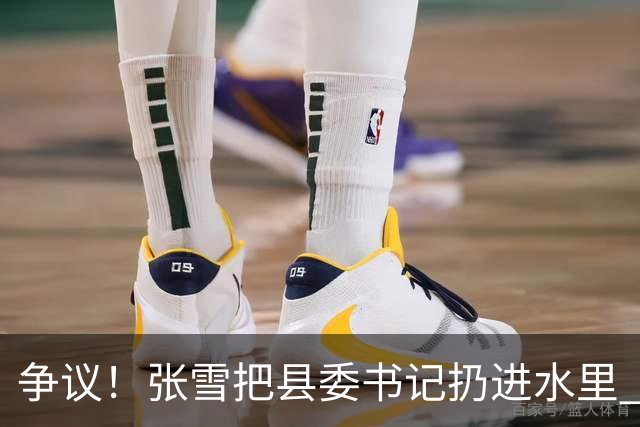 争议！张雪把县委书记扔进水里 网友：接地气 普通人敢扔一个试试？
