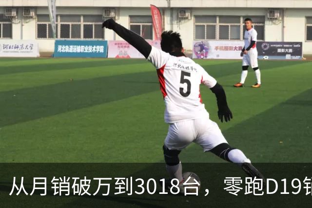 从月销破万到3018台，零跑D19销量跳水，起火疑云何时解开？