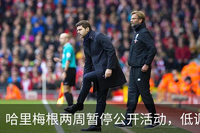 哈里梅根两周暂停公开活动，低调避风头，不抢查尔斯国王风头