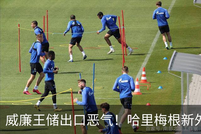 威廉王储出口恶气！哈里梅根新外号“喷火器”，和解第一步就犯蠢