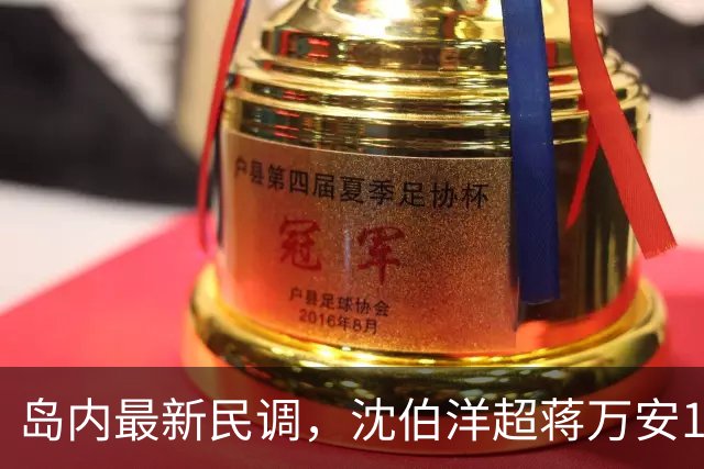 岛内最新民调，沈伯洋超蒋万安17%，外界讽：都是赵少康的'功劳'