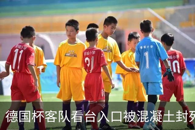 德国杯客队看台入口被混凝土封死，主队球迷被指所为