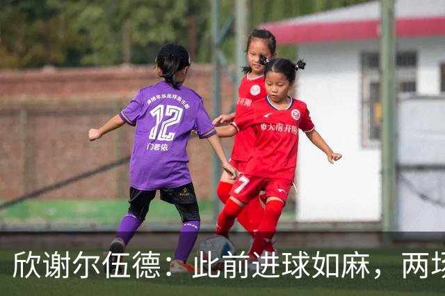 欣谢尔伍德：此前进球如麻，两场不进球就让我们学会谦逊
