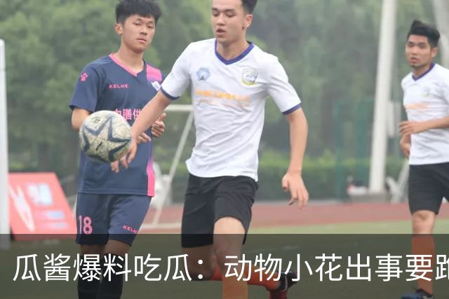 瓜酱爆料吃瓜：动物小花出事要跑路？