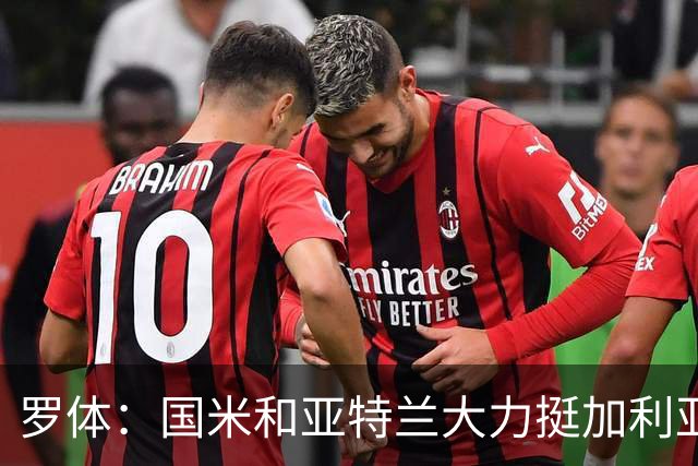 罗体：国米和亚特兰大力挺加利亚尼竞选足协主席