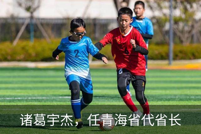 诸葛宇杰，任青海省代省长