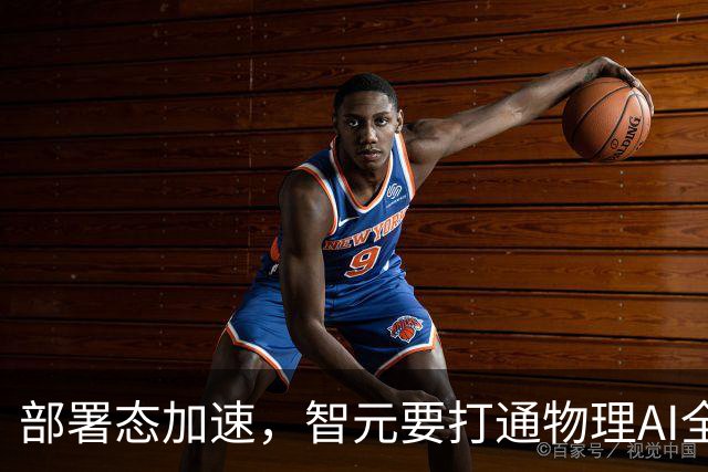 部署态加速，智元要打通物理AI全链路