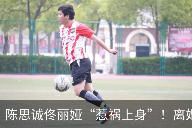 陈思诚佟丽娅“惹祸上身”！离婚5年合体带娃聚餐，发生恶心一幕