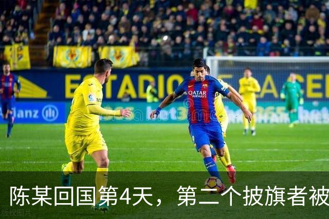陈某回国第4天，第二个披旗者被揪了出来，现形后想销号跑路