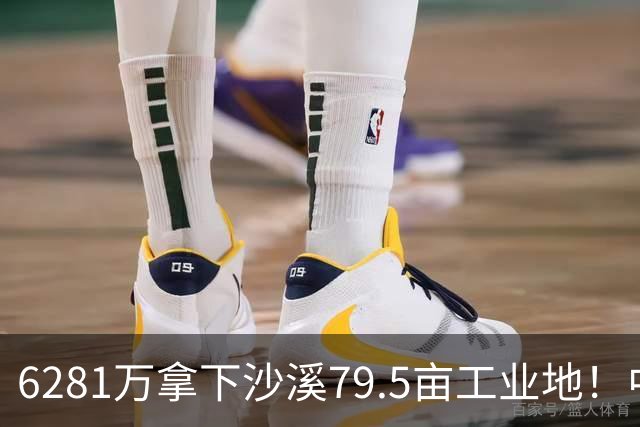 6281万拿下沙溪79.5亩工业地！中山这家服装企业为何频频出手？