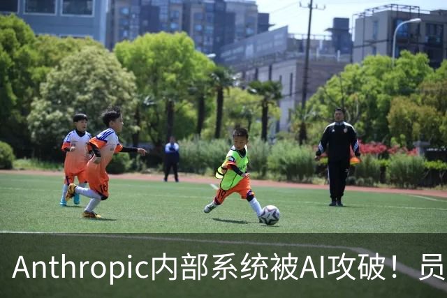 Anthropic内部系统被AI攻破！员工薪酬全曝光了